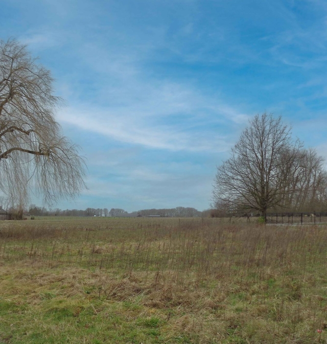 Nieuwbouwproject Baardegem_Qubo 1